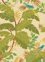 7357_4_Nobilis_Tapete_Sur_un_Arbre_Perche_COS203-67821