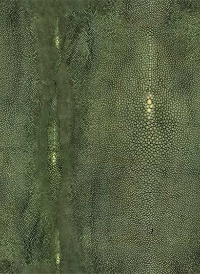 Tapete Precieux - Vert