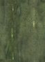 5183_3_jean-paul-gaultier_precieux_3326-04-54612