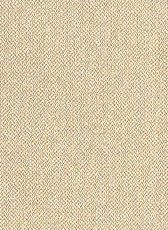 Tapete Mini Chevron - 10030