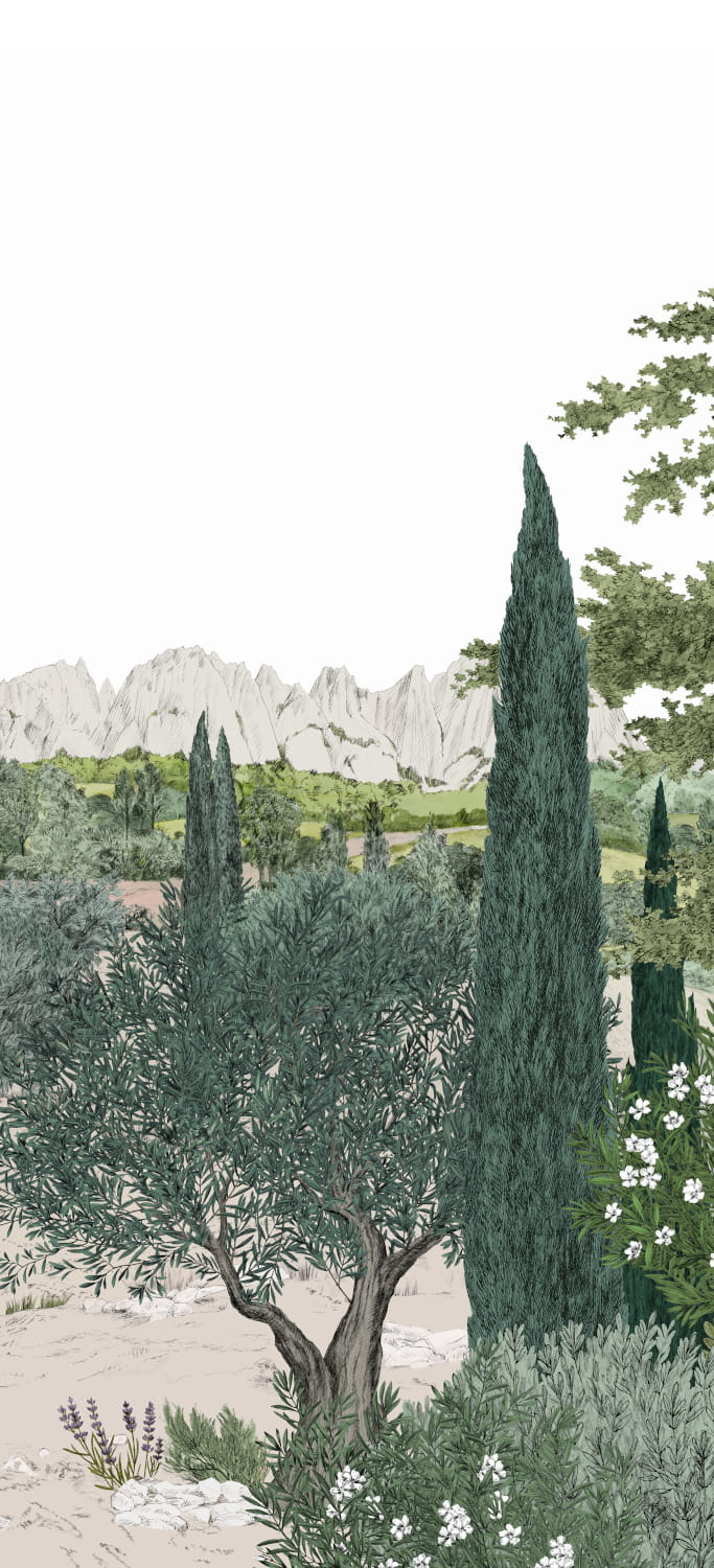 Wandbild Provence - Printemps Panel C