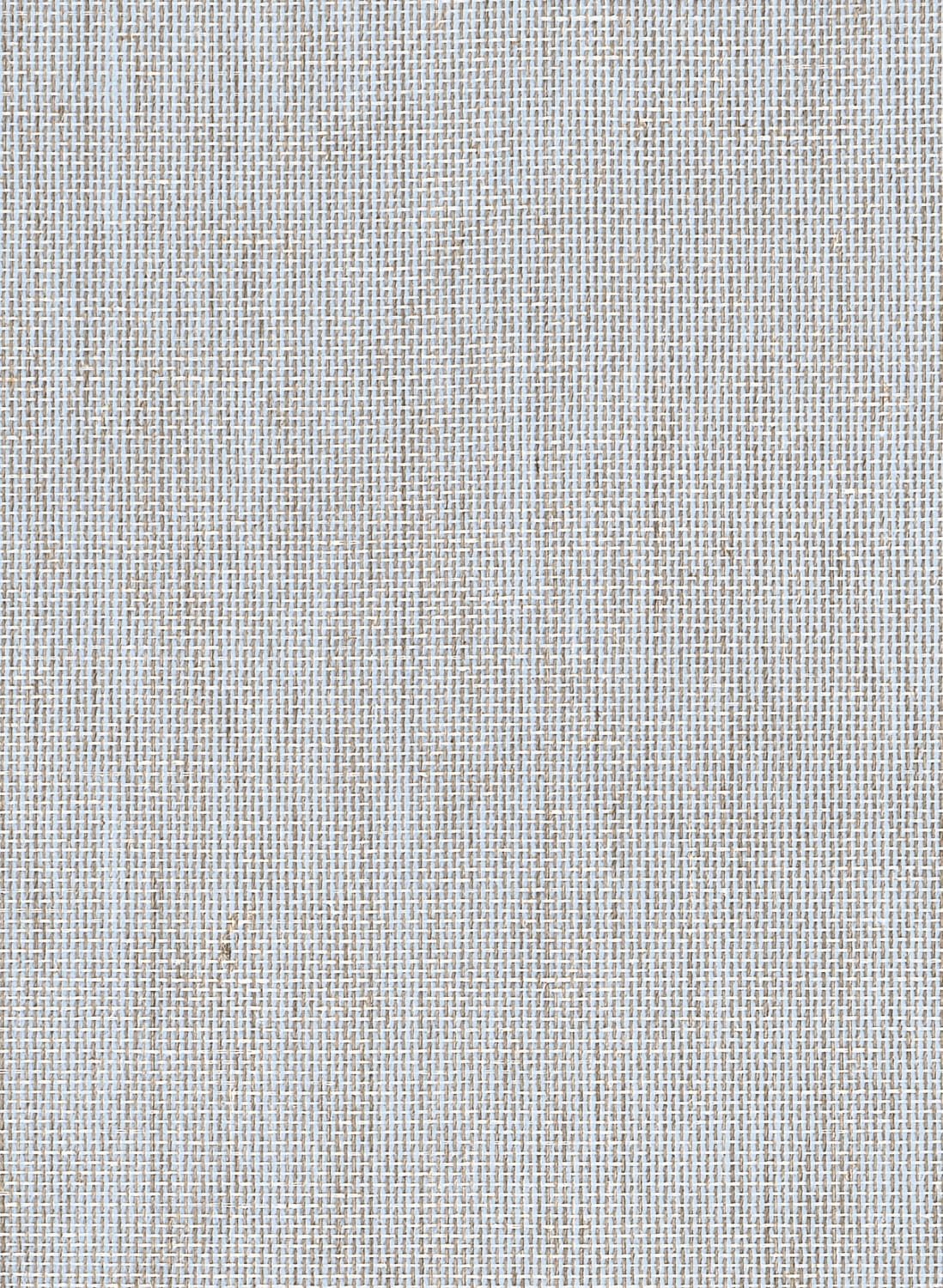 Tapete Lake Shore - Powder Blue