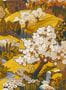 14696_2_Coordonne_Yu_Garden_B00146N-116960