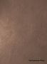 Terrastone-Fine-65-Lachsgrau-colour-sample-named-190677
