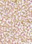 9365_1_Coordonne_Ana_A00223N-89596