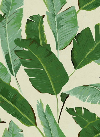 Tapete Banana Leaves - WP20111