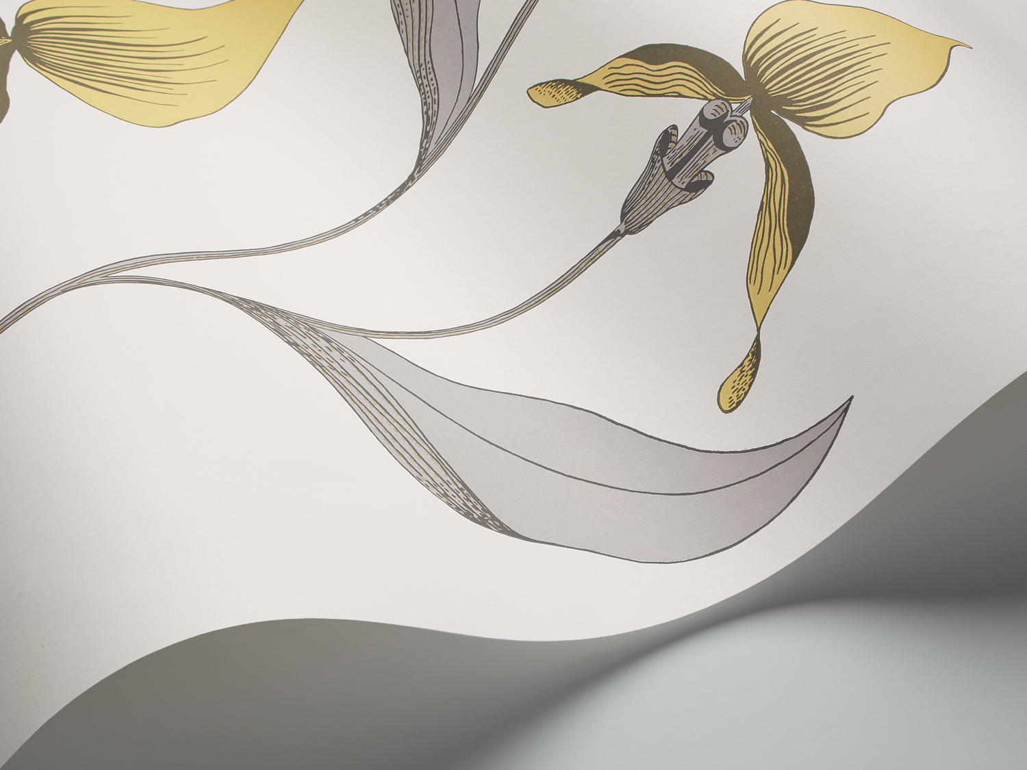 Tapete Orchid - Yellow on White