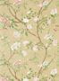6143_1_Zoffany_Nostell_Priory_Paper_NTP06001-92092