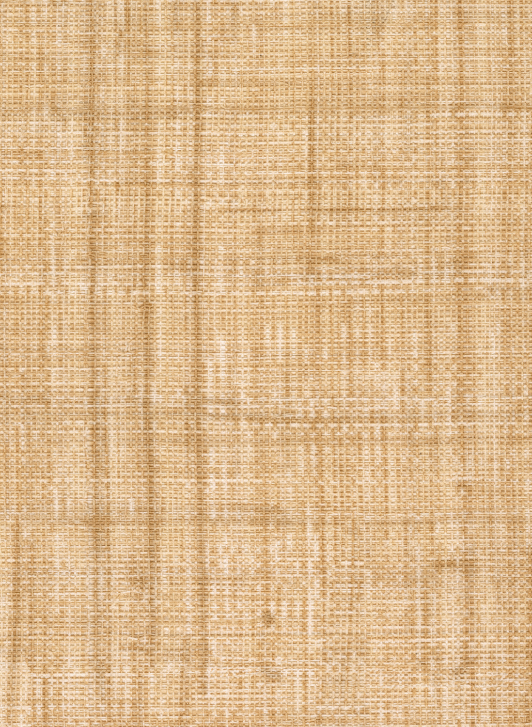 Tapete Abaca - VP 983 06