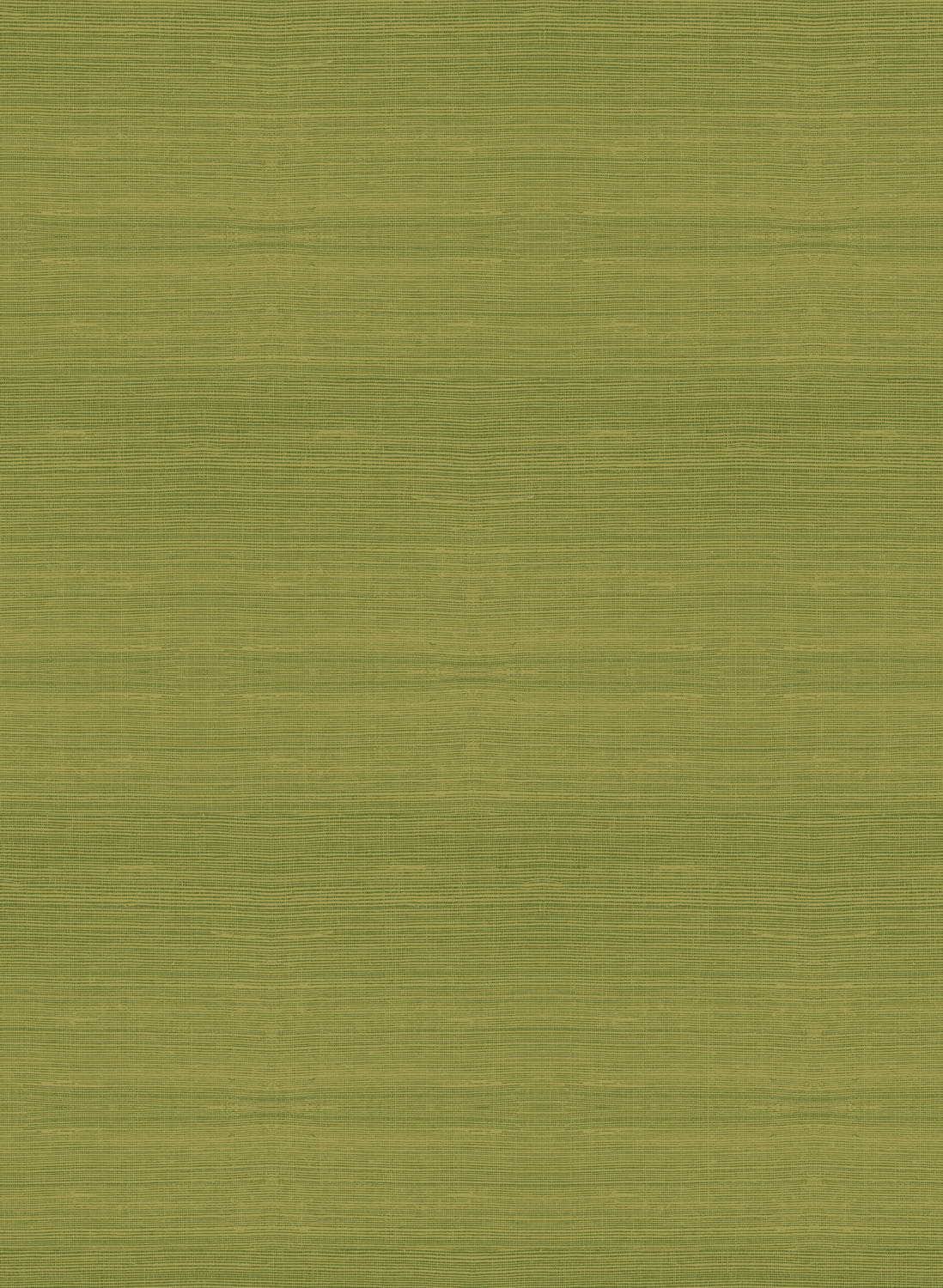 Tapete Line - Fern