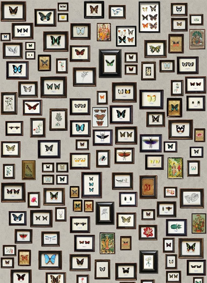 Wandbild Bilderrahmen Narissa - Multi