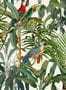 5577_2_Mindthegap_Tapete_Parrots_of_Brasil_WP20521-69773