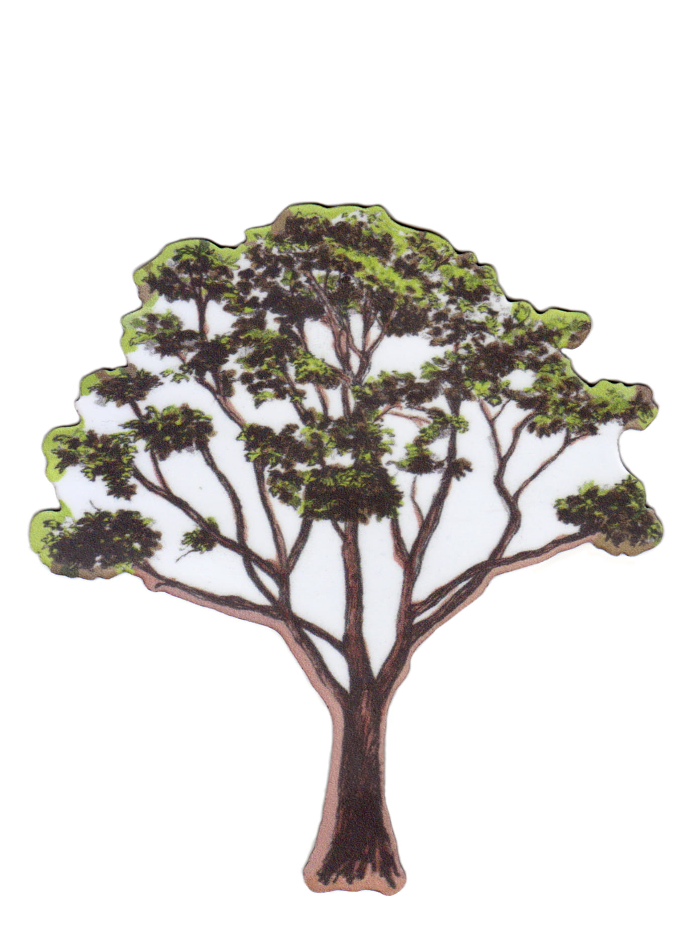 Magnet Tree