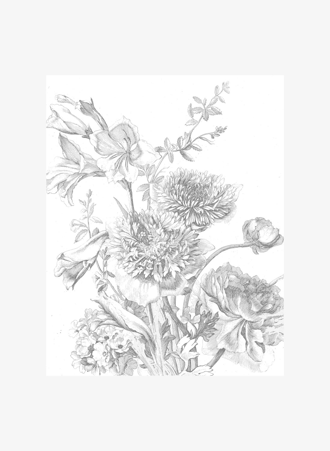 Wandbild Engraved Flowers 2 - XS