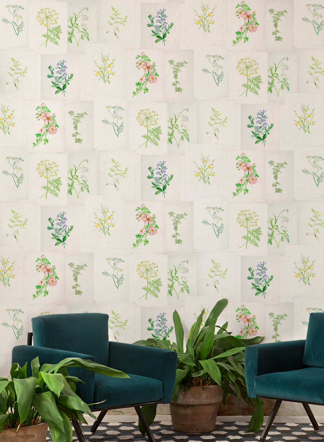 Wandbild Botanika