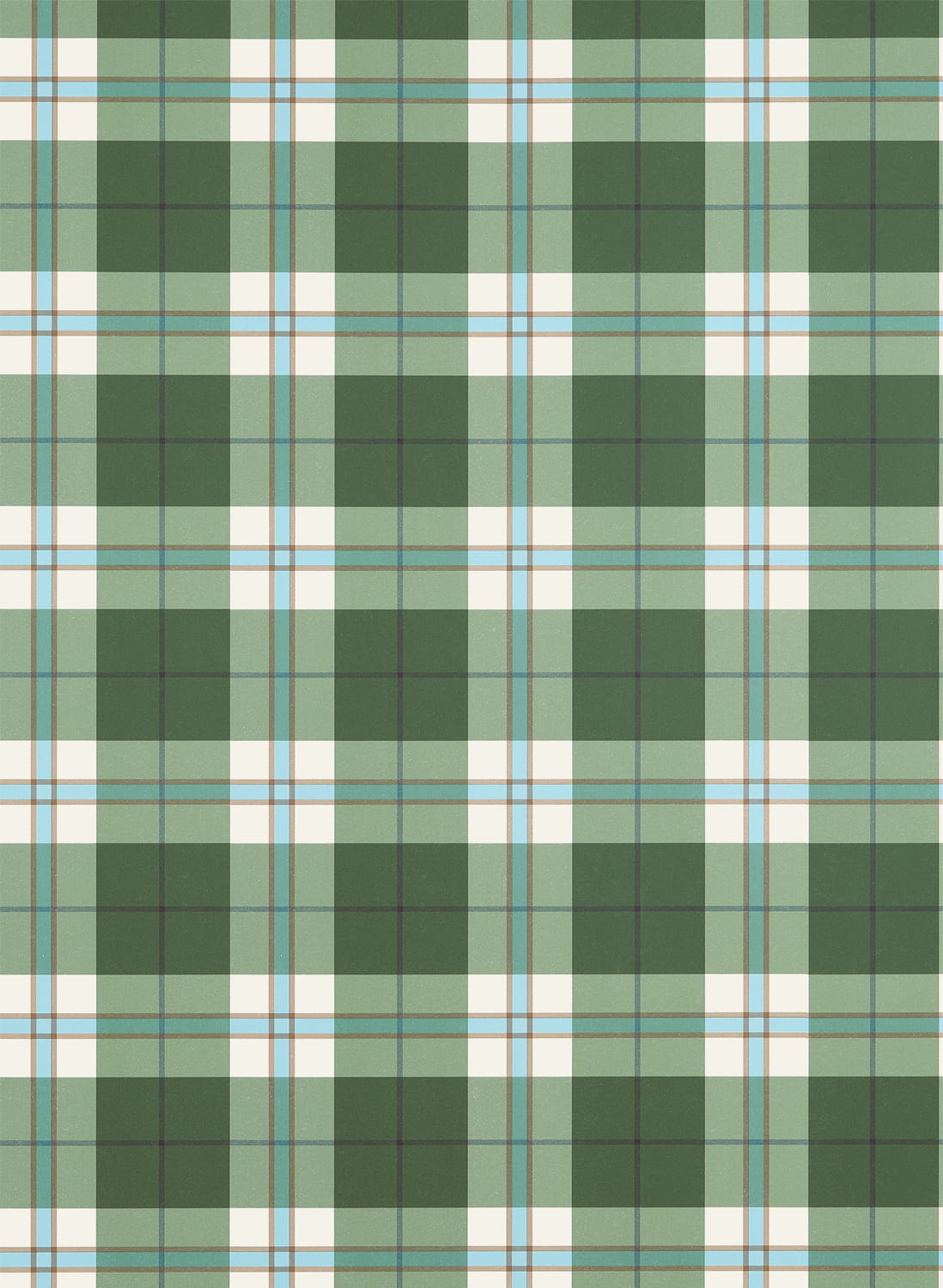 Tapete Douglas Plaid - green