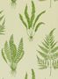 5916_1_Sanderson_Tapete_Woodland_Ferns_DAPGWO102-74985