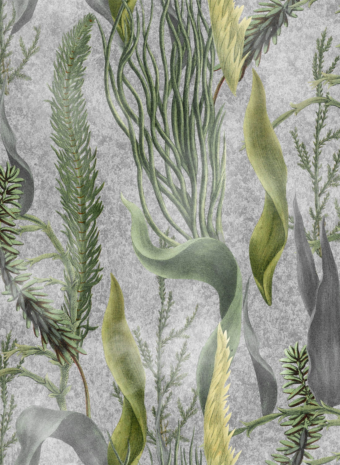 Tapete Aquatic Plants - WP20718