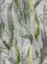 14955_03_Mindthegap_Aquatic_Plants_WP20718-139861