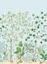 9792_2_Sanderson_Sycamore-and-Oak_217212-100950