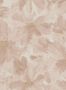 19010_02_Omexco_Daisy_VIR6002-179198