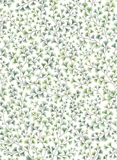 Tapete Maidenhair - Olive