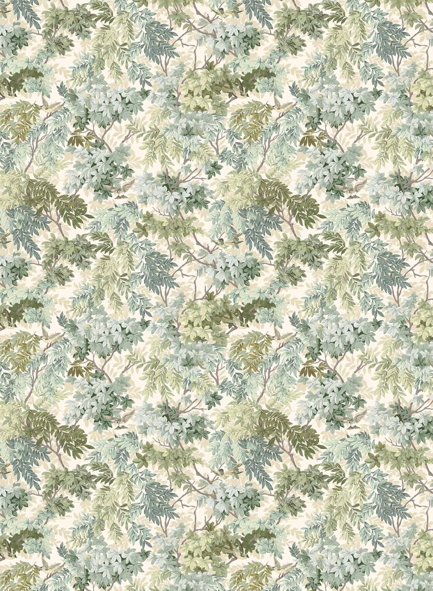 Wallpaper Les Oiseaux - Foret