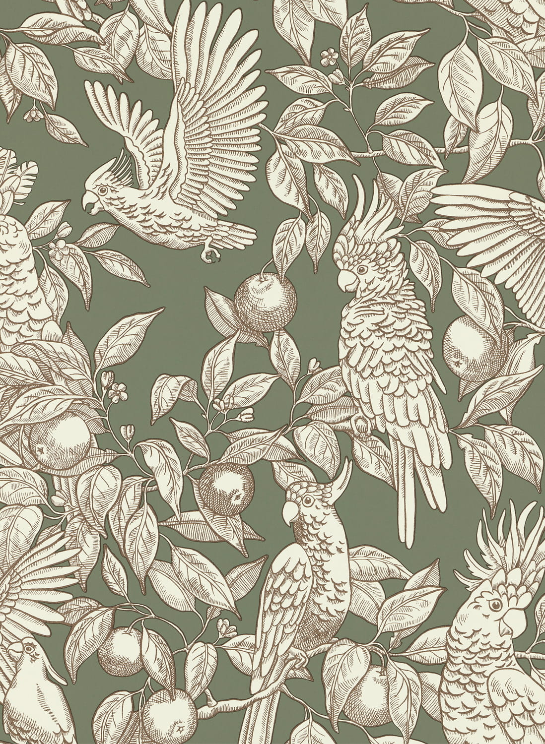 Tapete Talk about Cockatoos - Sage Green