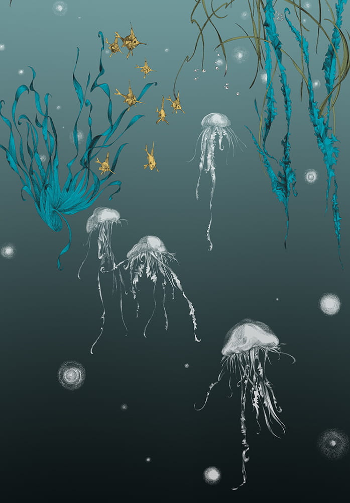 Tapete Nautilus/ Méduses/ Nénuphars - Noir - Méduses droit - Noir