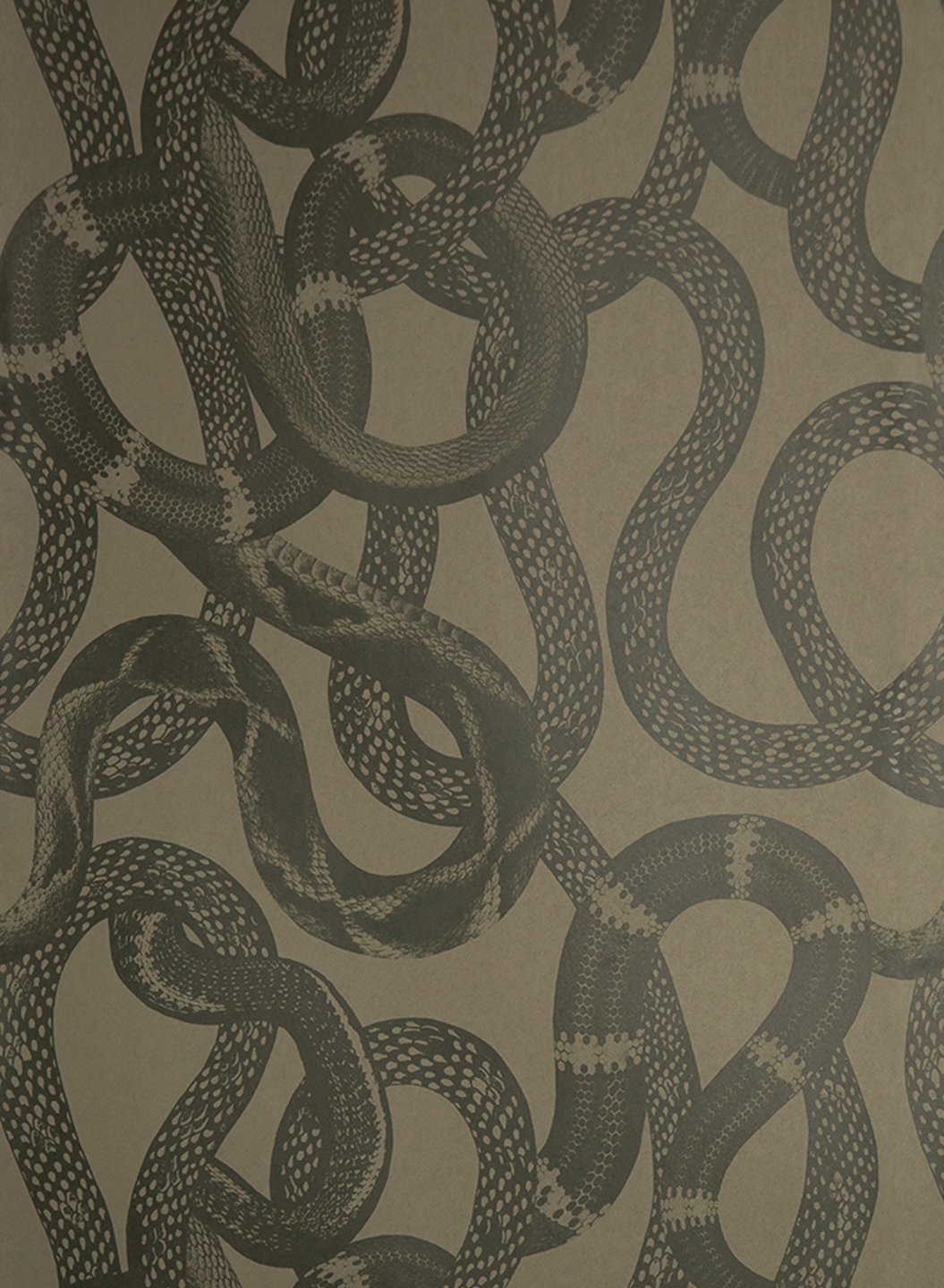 Papier peint Snake Peak - Green