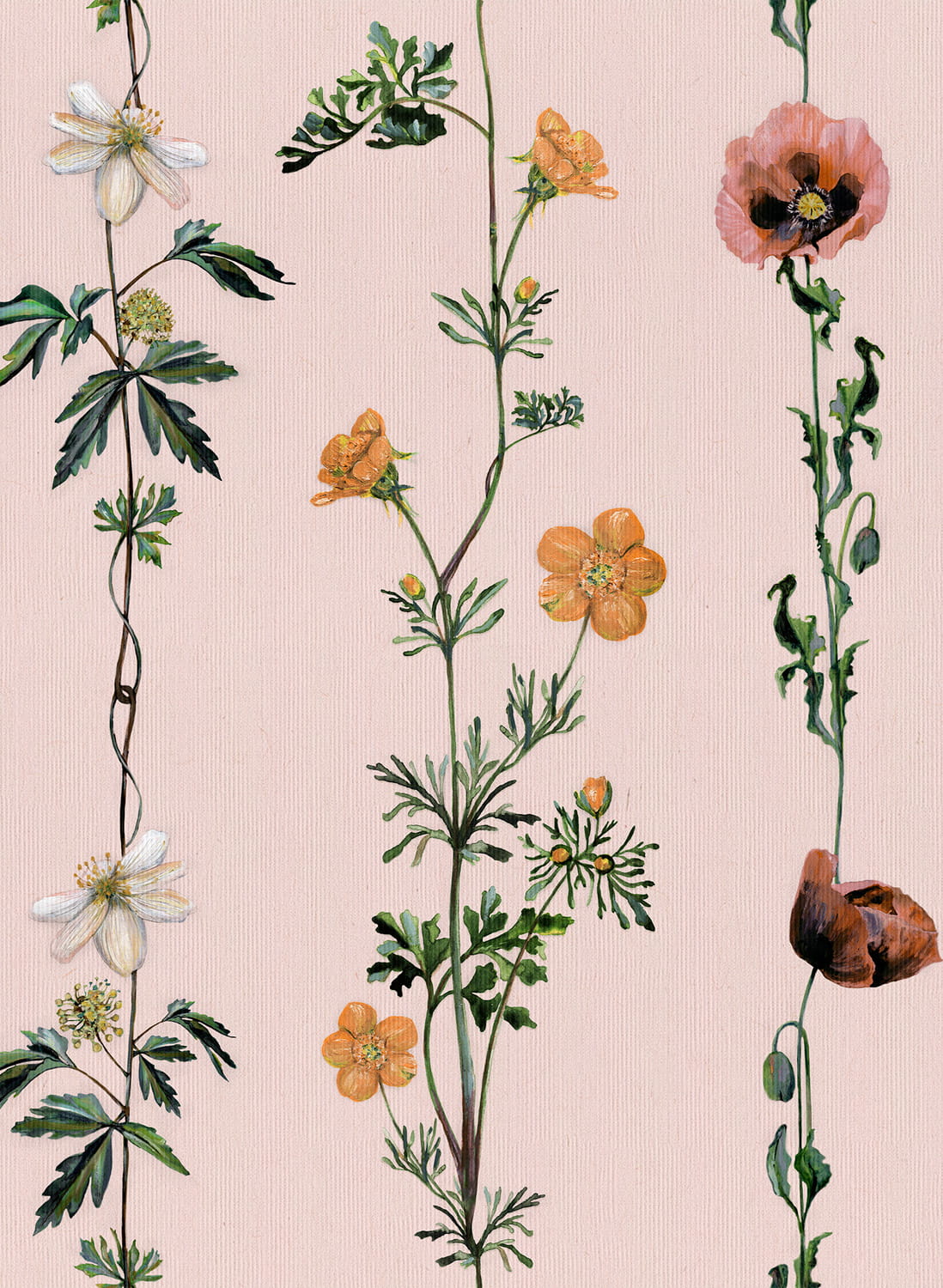 Tapete Climbing Flowers - Pink