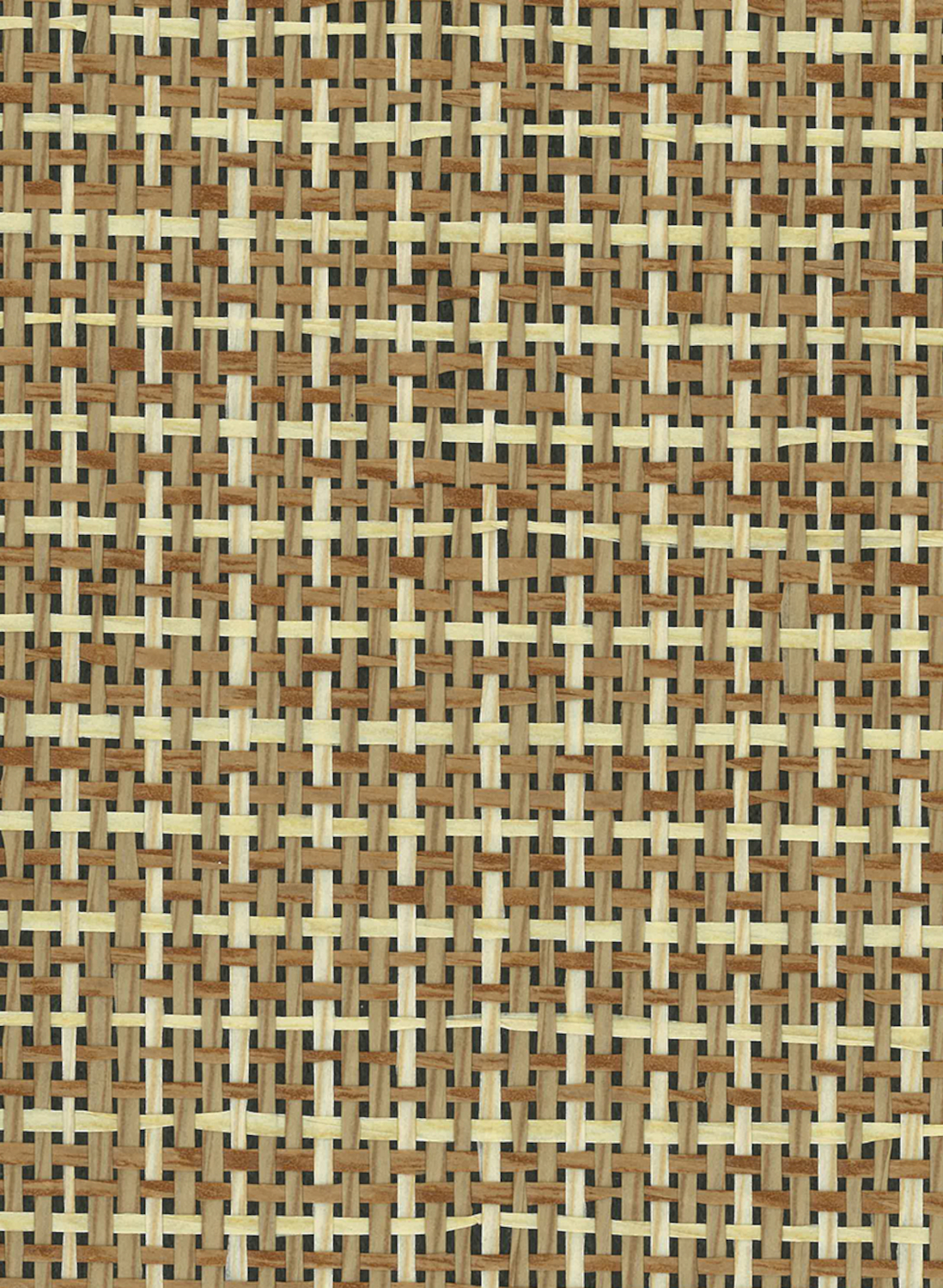 Tapete Papyrus - Woodsmoke