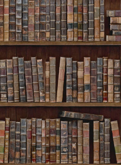 Tapete Book Shelves - WP20112