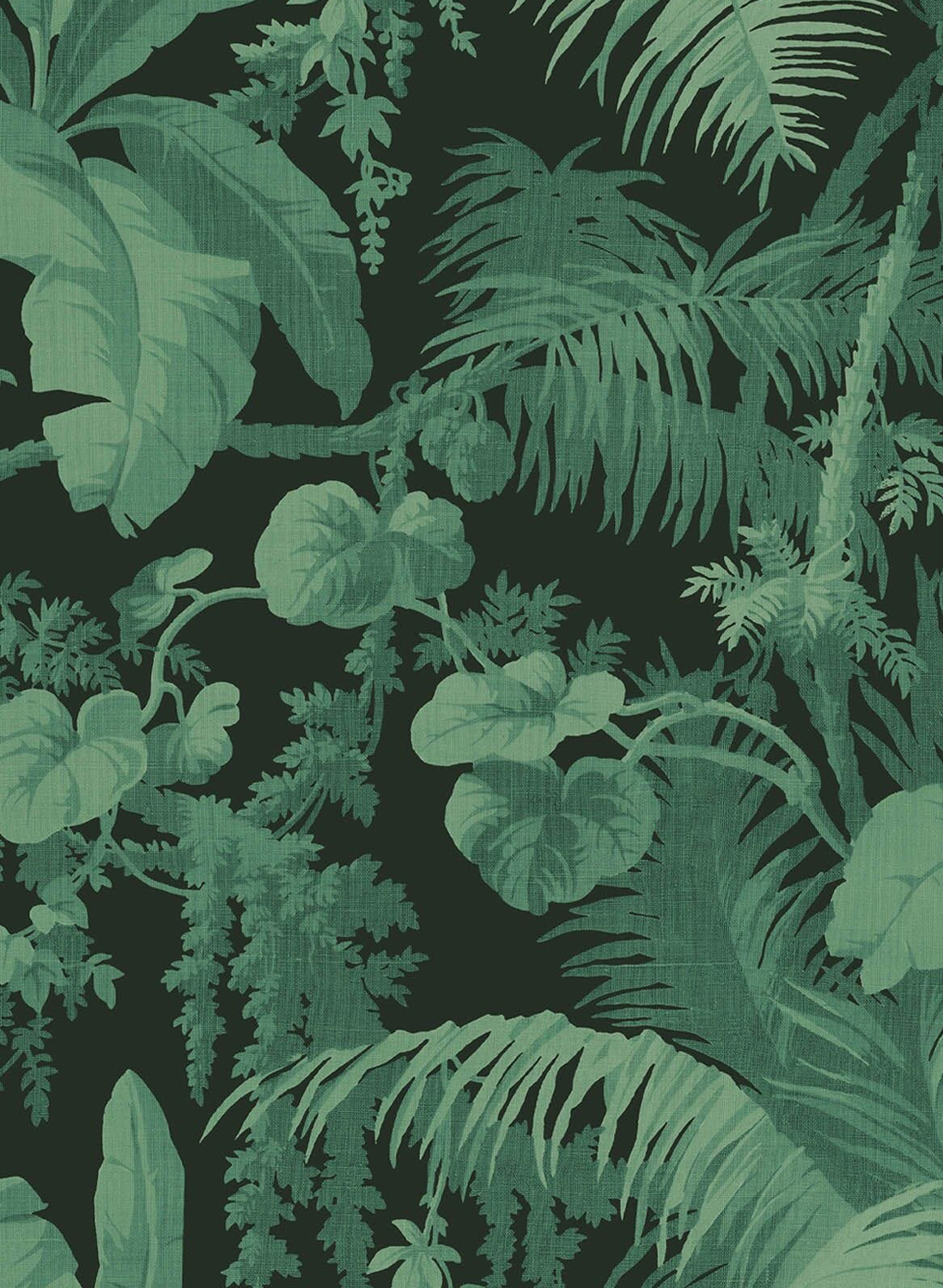 Tapete Pampas - Noir
