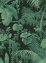 2608_7_House-of-Hackney_Pampas_Noir_1-WA-PAM-DI-NOI-XXX-79310