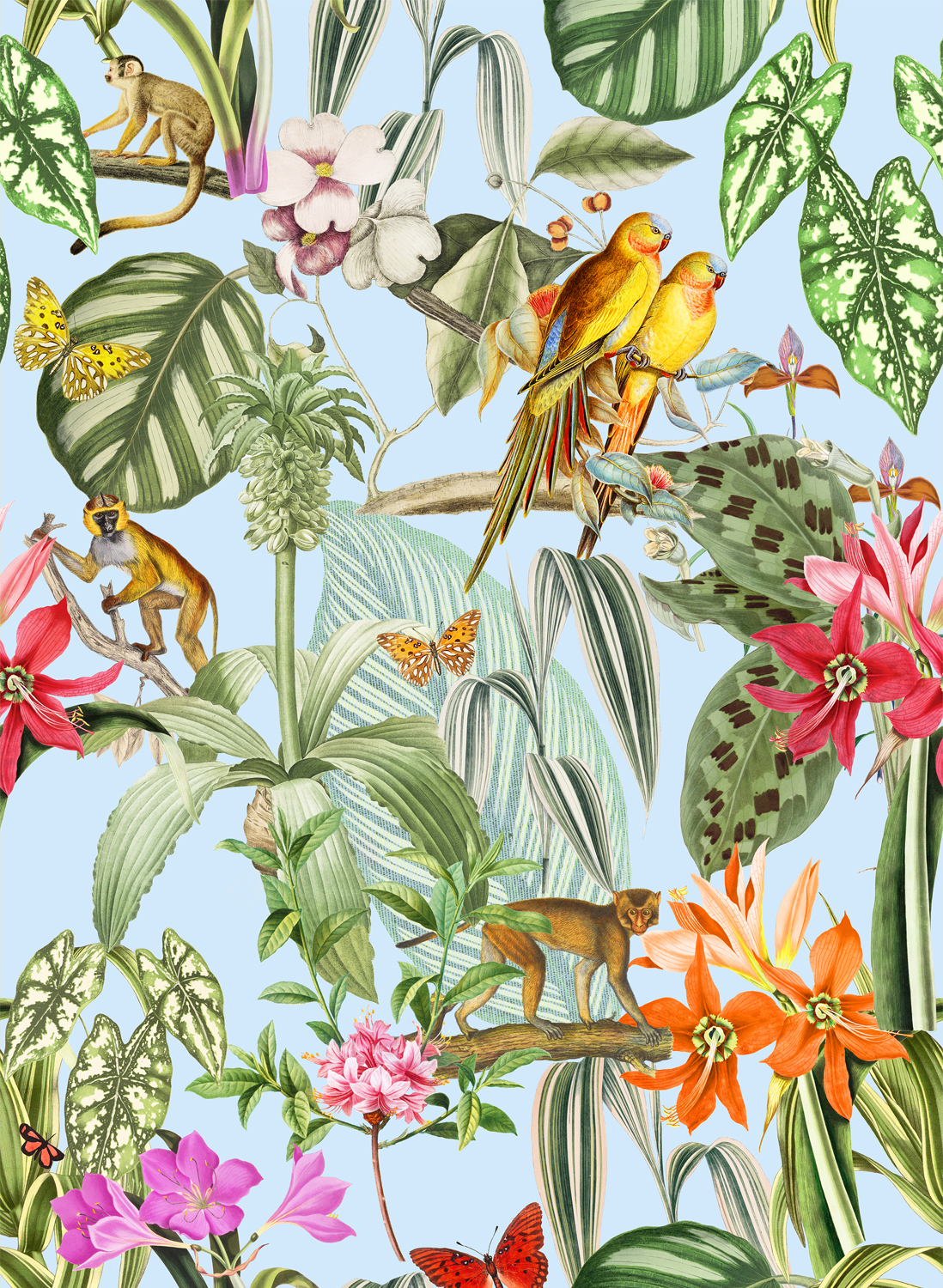 Tapete Parrots - Cielo