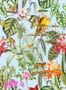9504_5_Coordonne_Parrots_9900005N-93942