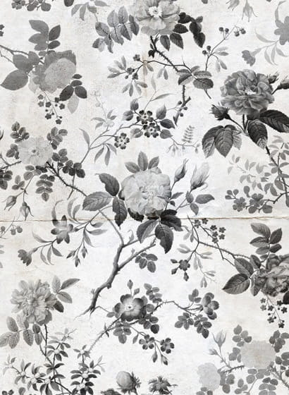 Wandbild Rosegarden - Black/ White