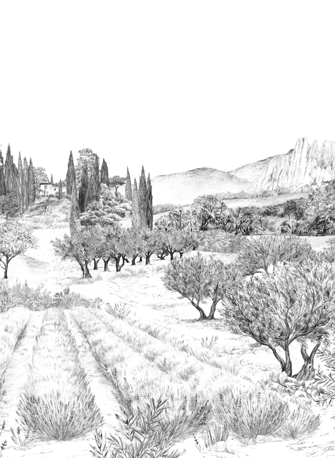 Wandbild Provence - Grisaille Panel B