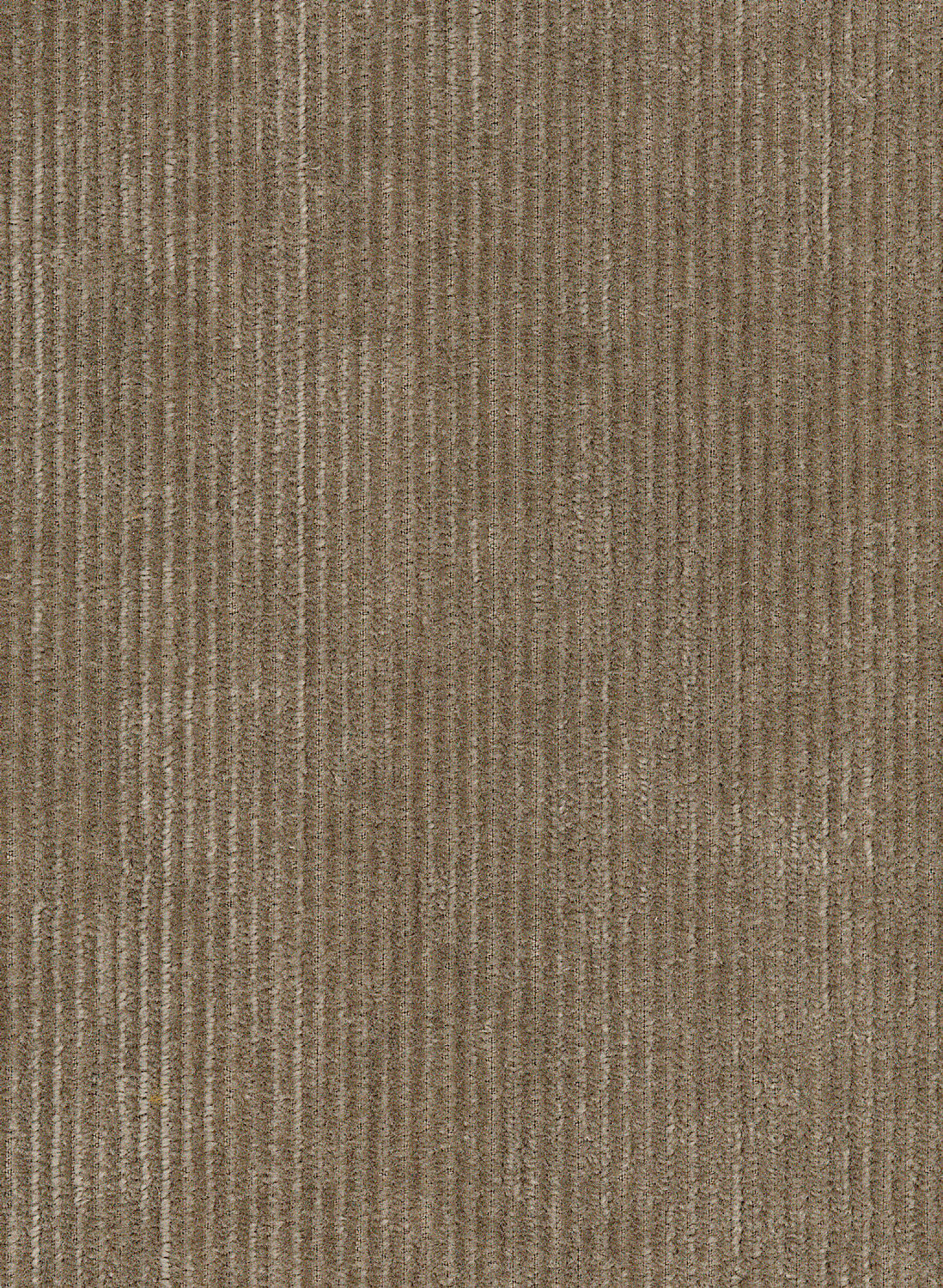 Tapete Tinneroy - 29505