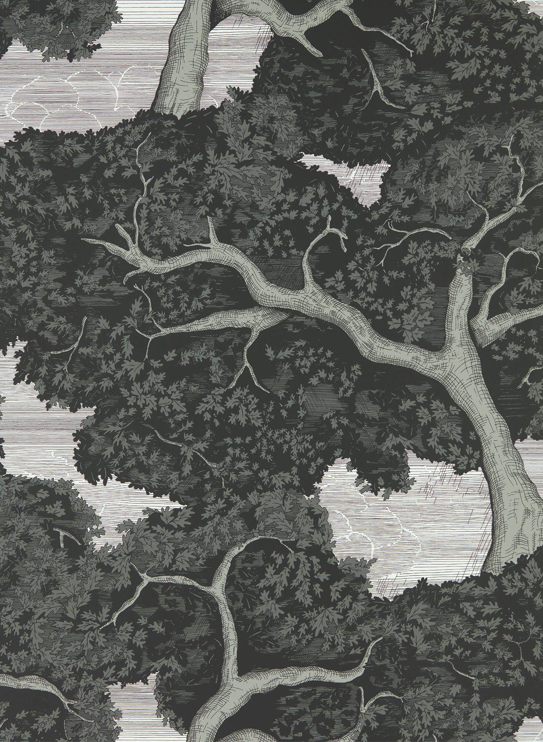 Tapete Eternal Oak - Ebony/ First Light