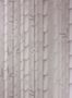 2970_5_osborne_little_bamboo_w7025-05-27658