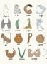 8817_1_Coordonne_Animal_Alphabet_Multi_9700140-80820