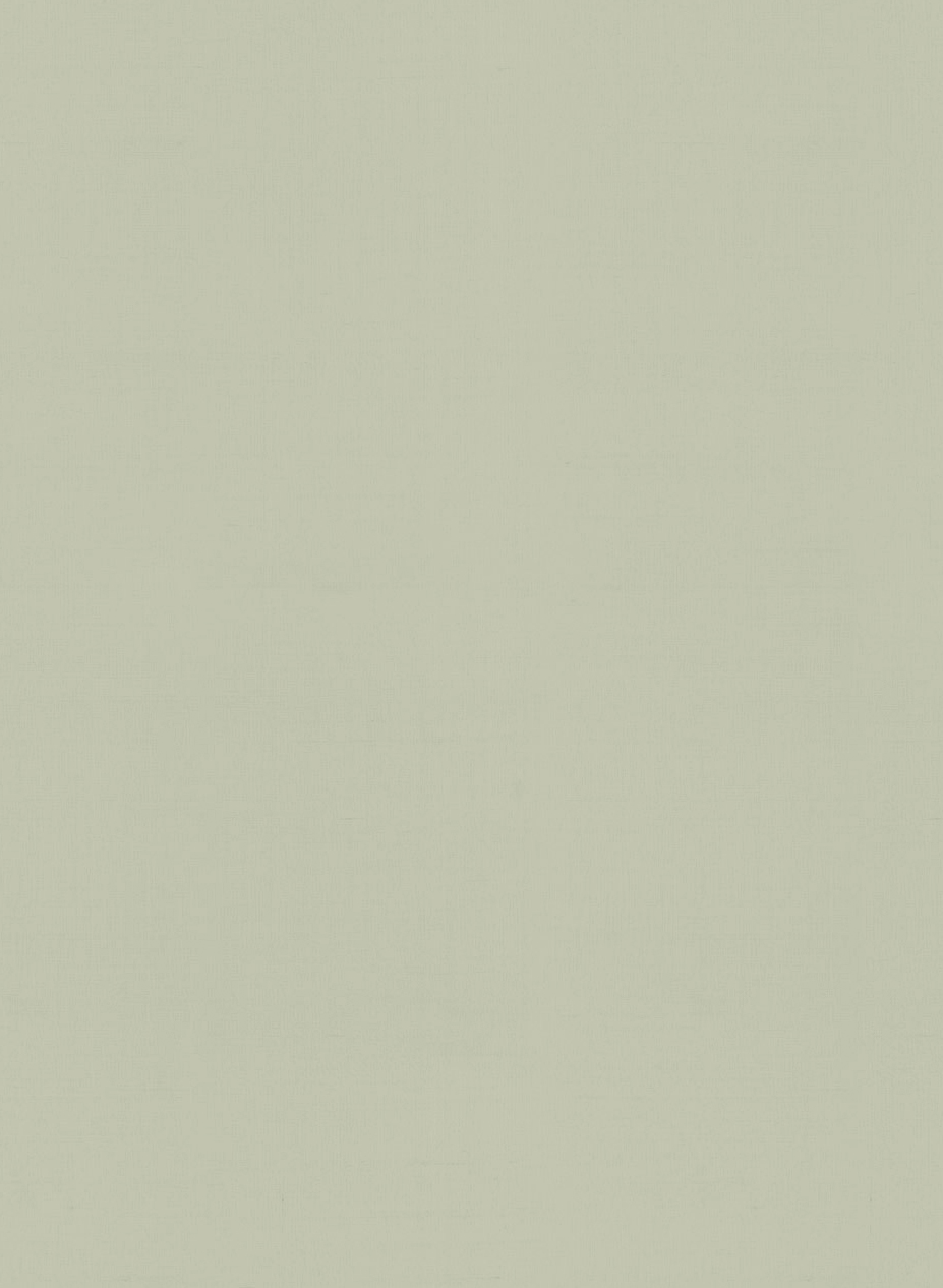 Tapete Plain - 9441