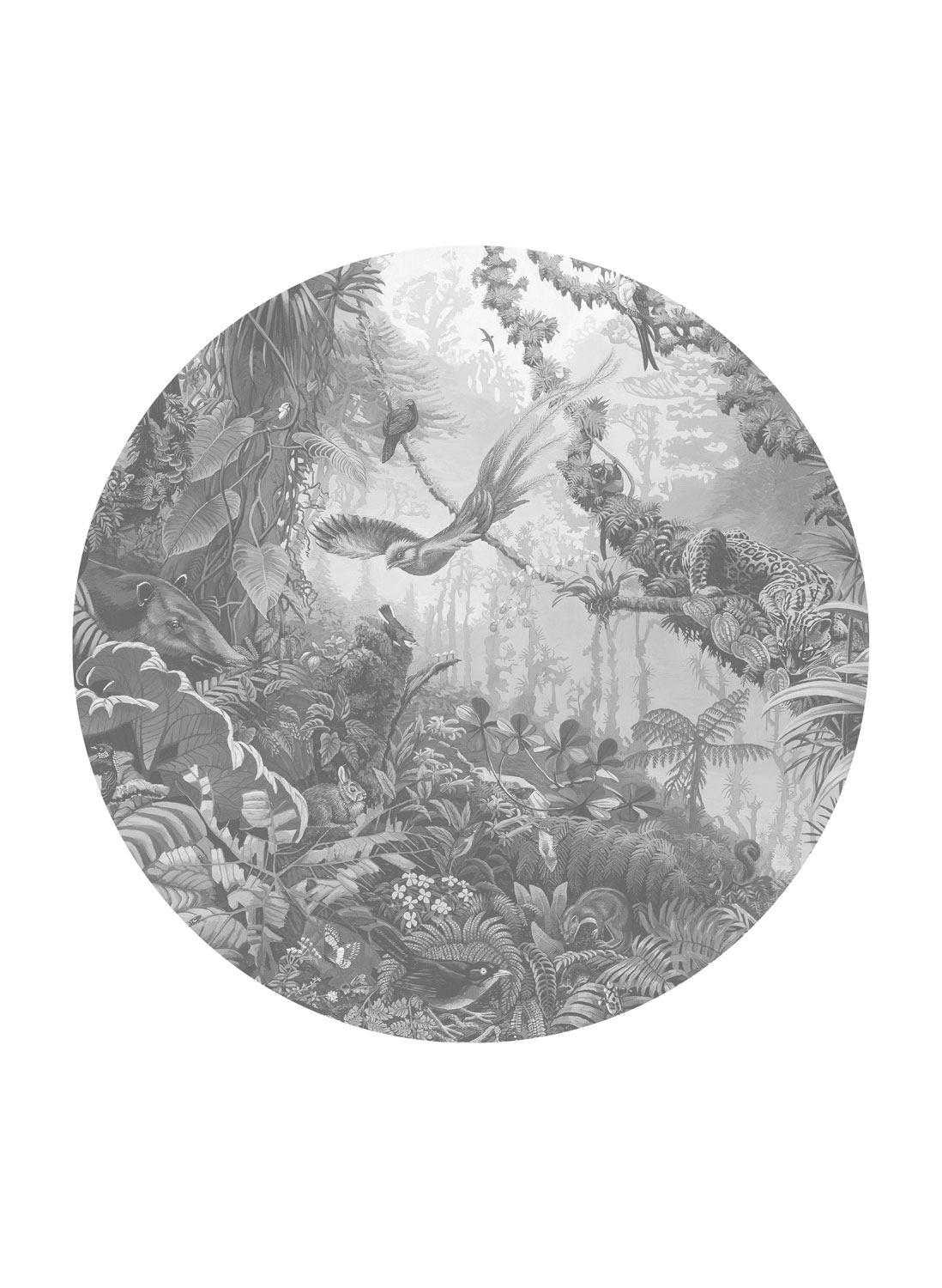 Wandbild Tropical Landscapes 2 Circle - M - 1.9m