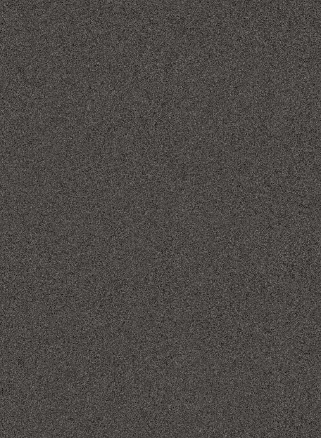 Carta da parati Sand - Charcoal
