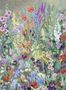 7743_1_House_of_Hackney_Floribunda_Magna_1-WA-FLB-DI-ZEI-XXX-103489