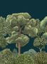 8828_4_Coordonne_Green_Forest_Midnight_9700093-80951