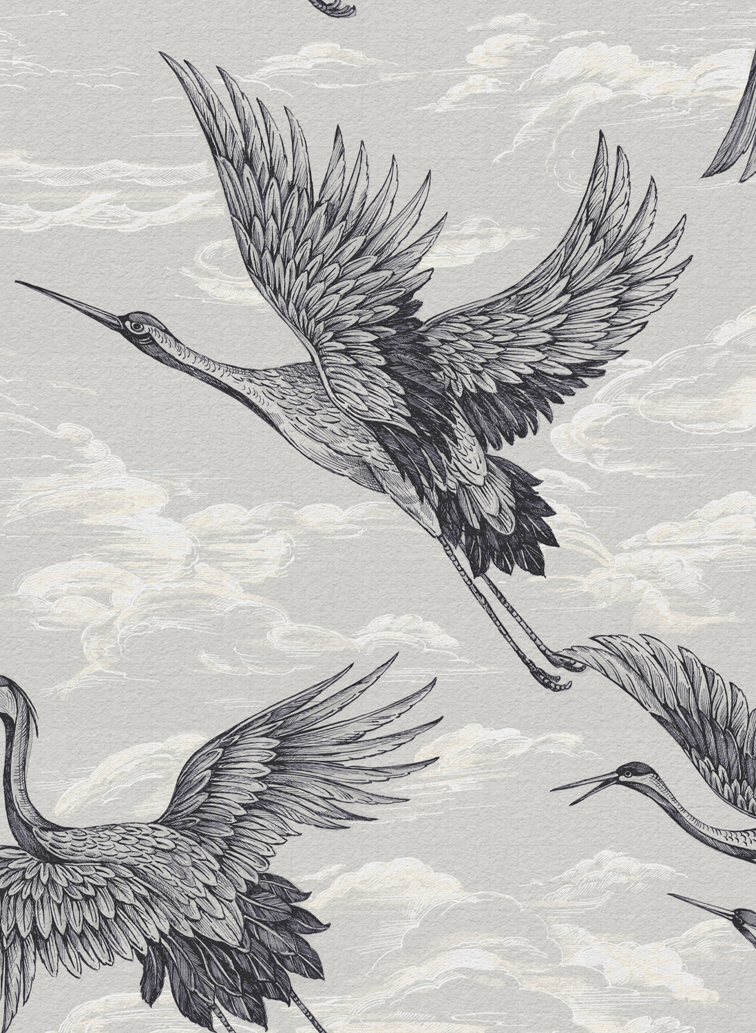 Tapete Imperial Ibis - Swan
