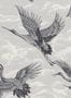 14694_3_Coordonne_Imperial_Ibis_B00134N-116837